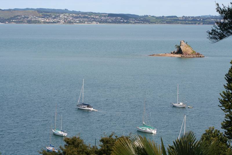 Classic Bach Picture 3