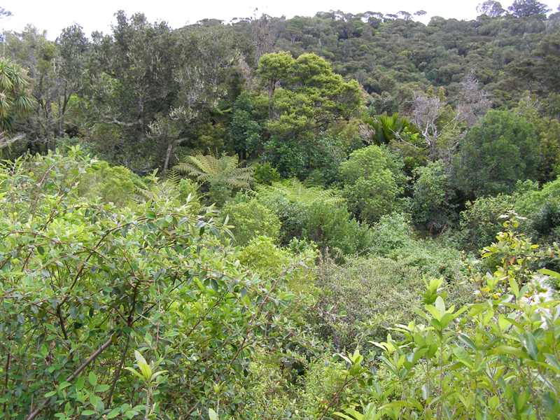 Nab A Bargain Picture 2