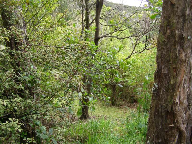 Nab A Bargain Picture 3