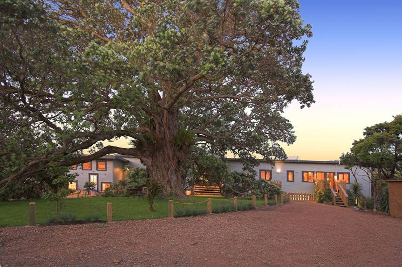 Whakanewha retreat Picture 1