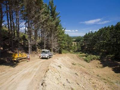 Clean Fill Operation - Palm Beach Picture