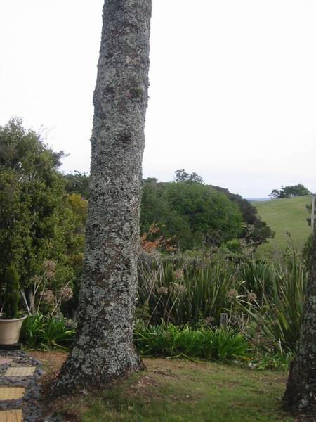 Cottage With Privacy and View Picture 2