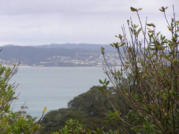 SECURE YOUR DREAM SPOT Picture 2