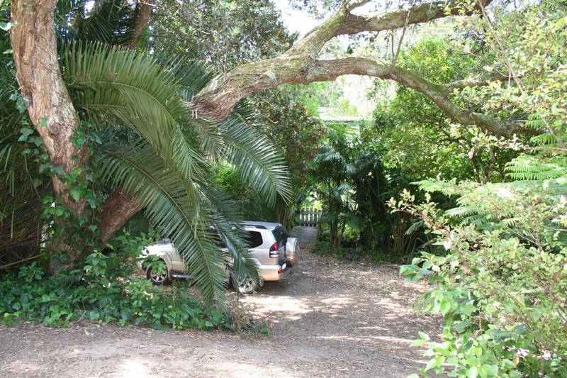 150 METRES TO WHITE SAND OF LITTLE ONEROA BEACH Picture 2