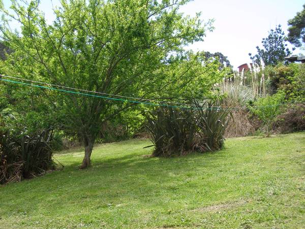 IMMEDIATE POSSESSION Picture 3