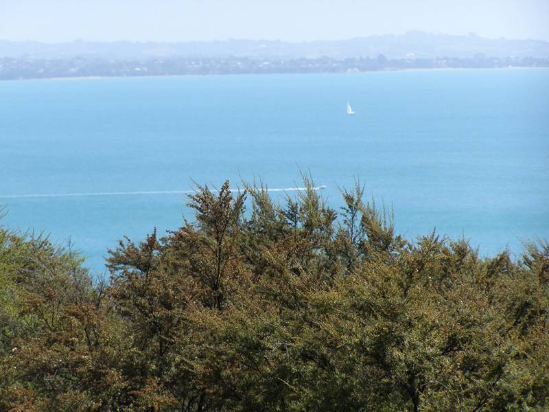 WISE INVESTMENT Picture 2