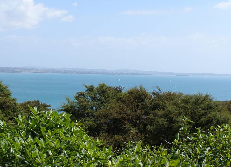 WISE INVESTMENT Picture 1