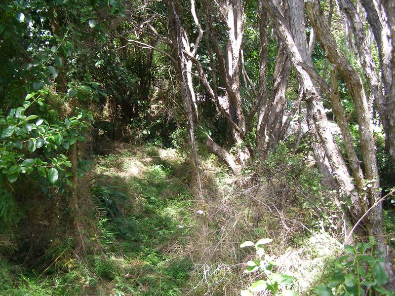 WISE INVESTMENT Picture 3