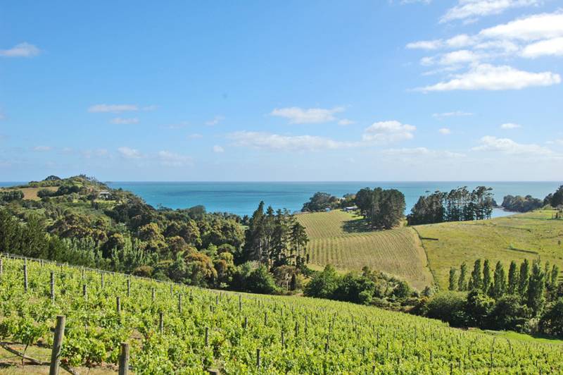 Pohutakawa Retreat Picture 3