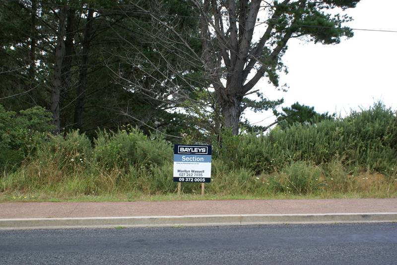 SECTION IN THE ZONE Picture 2