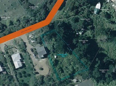 SECTION IN THE ZONE Picture