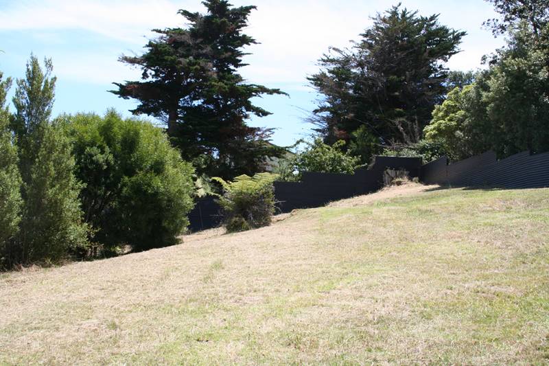 READY FOR ACTION! Picture 3