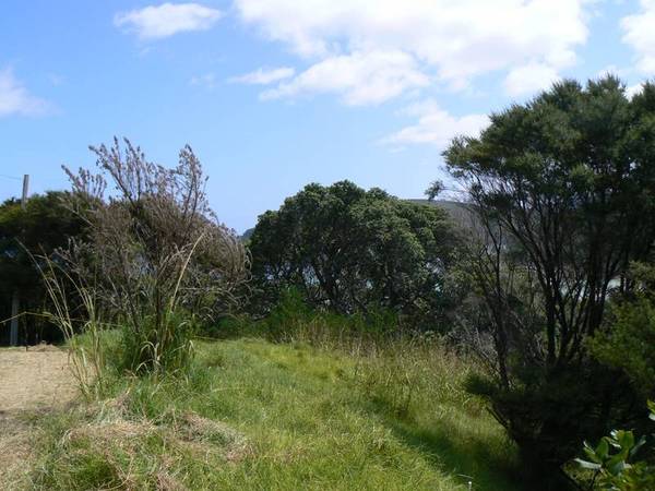 MOTIVATED VENDOR SAYS SELL - BAGS ARE PACKED Picture 2