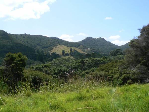 MOTIVATED VENDOR SAYS SELL - BAGS ARE PACKED Picture 3