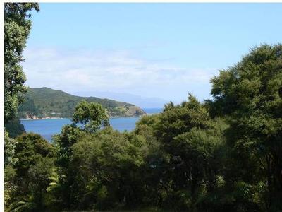 MOTIVATED VENDOR SAYS SELL - BAGS ARE PACKED Picture