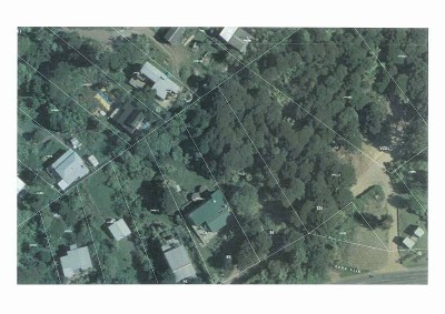 PALM BEACH SECTION Picture PALM BEACH SECTION Picture