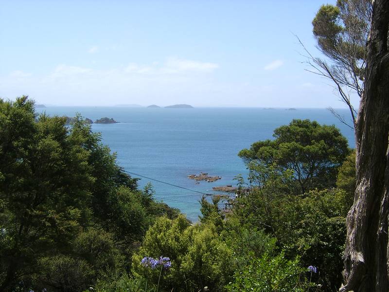 PANORAMIC SEA VIEWS - HEKERUA BAY Picture 2