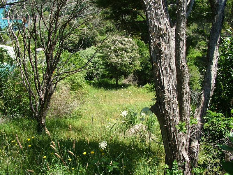 ROCKY BAY SECTION Picture 1