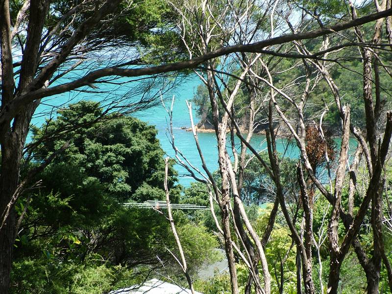 ROCKY BAY SECTION Picture 2