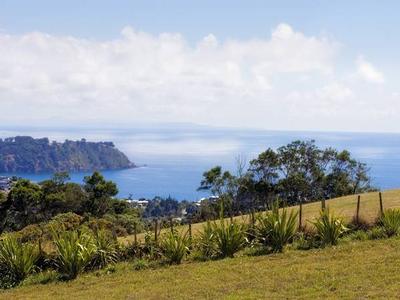 SWEEPING SEA VIEWS - ONETANGI Picture SWEEPING SEA VIEWS - ONETANGI Picture