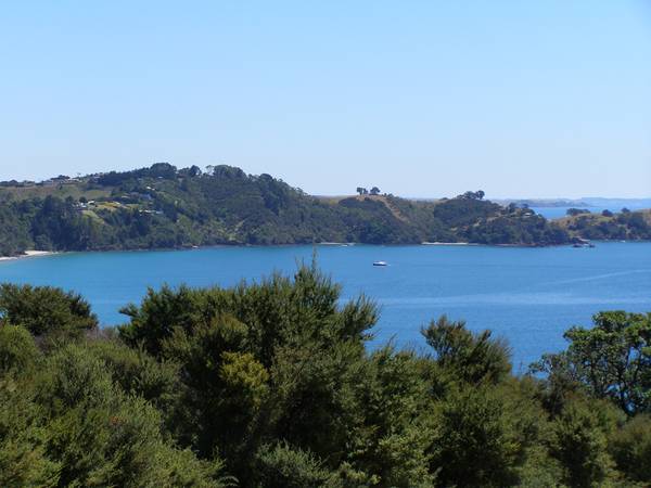 THE ABSOLUTE PRIME SPOT
-
ONETANGI Picture 3