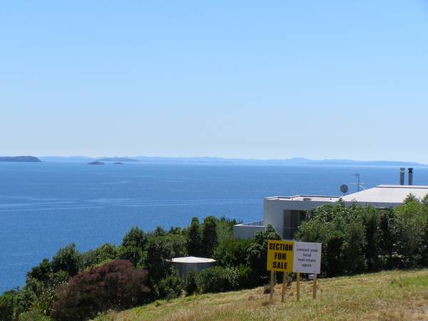 THE ABSOLUTE PRIME SPOT
-
ONETANGI Picture 2