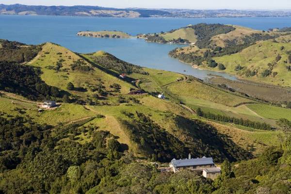 WAIHEKE PONDEROSA - AWAAWAROA Picture 3