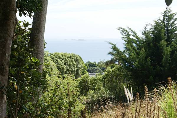 GREAT NORTH FACING SECTION Picture 2