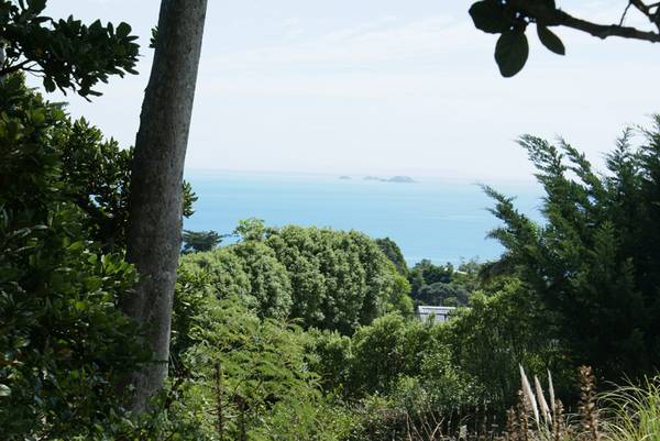 GREAT NORTH FACING SECTION Picture 3