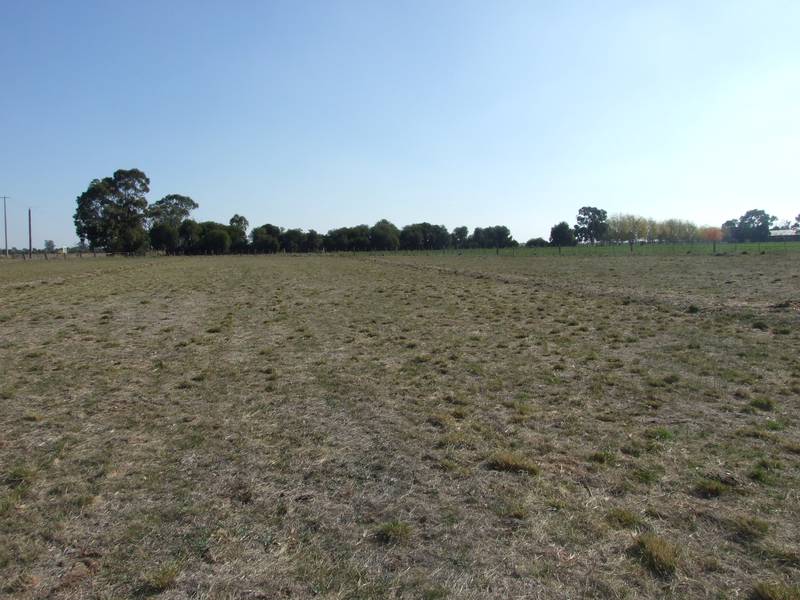 Ideal Rural Homesite With Acreage Picture 3