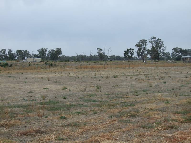 2.5 acres approx. building block with 3 meg water right Picture 1