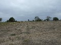 2.5 acres approx. building block with 3 meg water right Picture