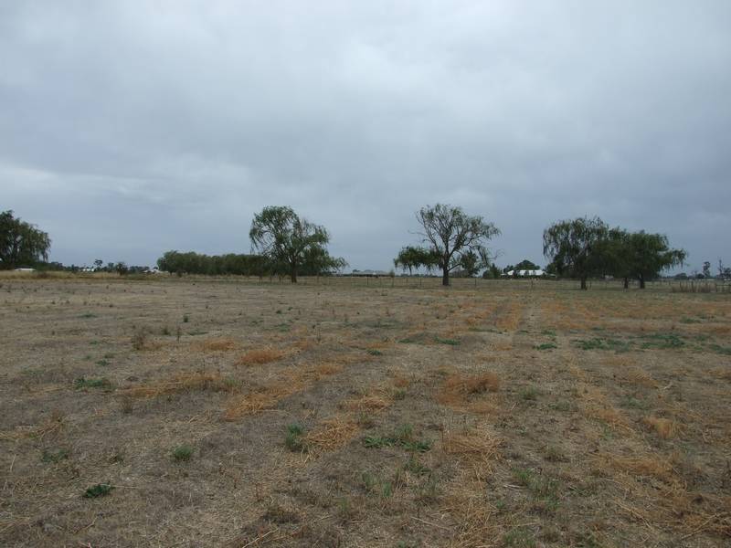 2.5 acres approx. building block with 3 meg water right Picture 2