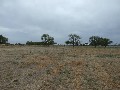 2.5 acres approx. building block with 3 meg water right Picture