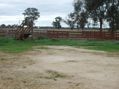 Harston Outpaddock Picture Harston Outpaddock Picture