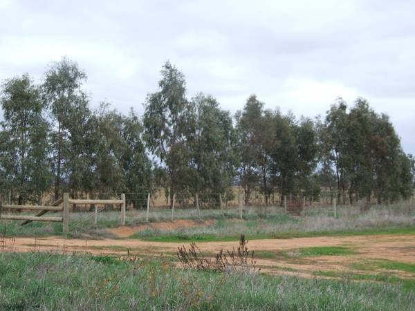 Harston Outpaddock Picture 3