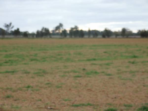 Harston Outpaddock Picture 2