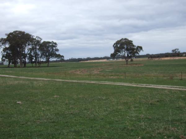 Versatile Outpaddock With Views Picture 2