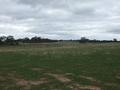 Versatile Outpaddock With Views Picture