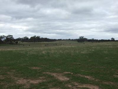 Versatile Outpaddock With Views Picture