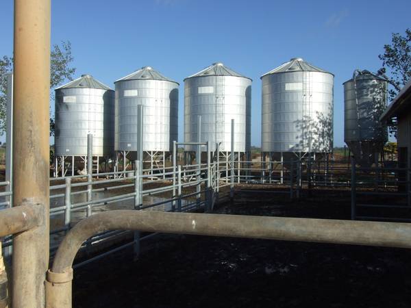 Highly Productive Dairy Farm Picture 1