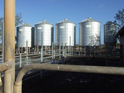 Highly Productive Dairy Farm Picture Highly Productive Dairy Farm Picture