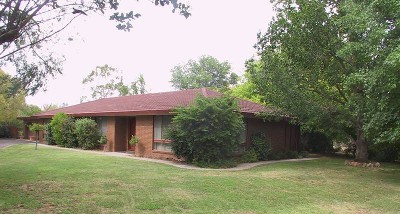 Peace and Privacy Picture