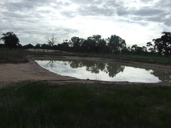 Cropping & Grazing Picture 2