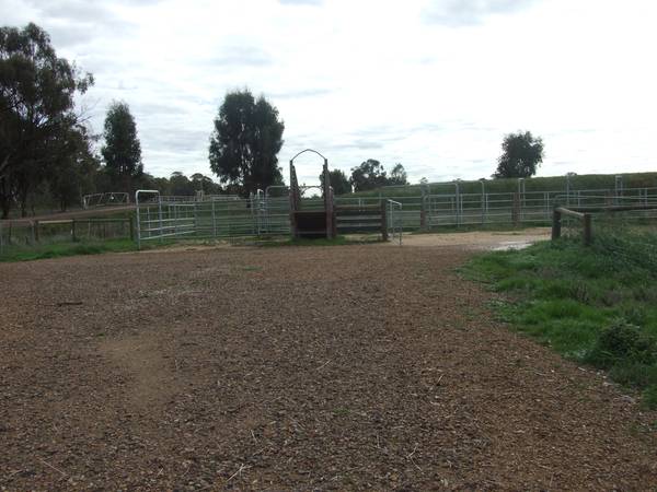 Cropping & Grazing Picture 3