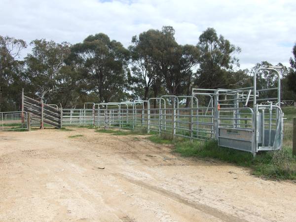 Cropping & Grazing Picture 1