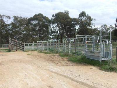 Cropping & Grazing Picture Cropping & Grazing Picture