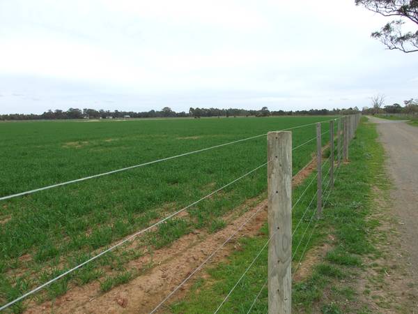 Excellent Horse Facility - 131 acres 2 titles or 53 acres with Home. Picture 1