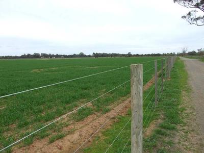 Excellent Horse Facility - 131 acres 2 titles or 53 acres with Home. Picture