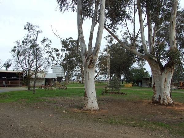 Excellent Horse Facility - 131 acres 2 titles or 53 acres with Home. Picture 2